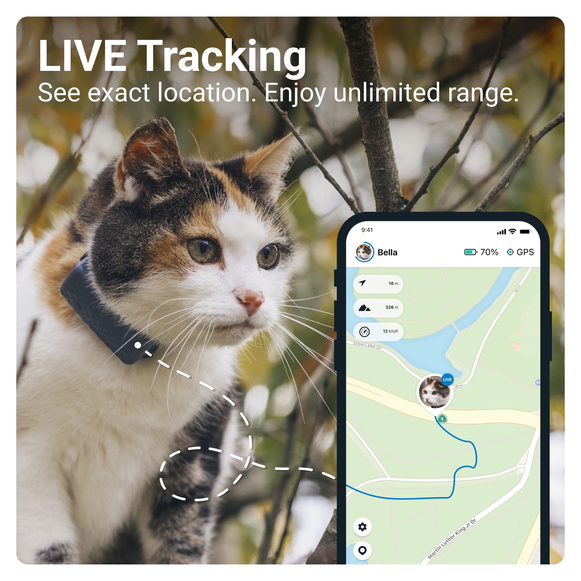 Tractive CAT Mini – GPS Tracker & Activity Monitor for Cats w